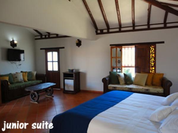 Отель Hotel Boutique Villa Roma