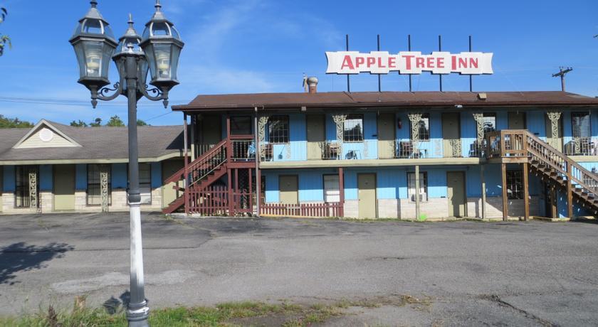 Отель Apple Tree Inn