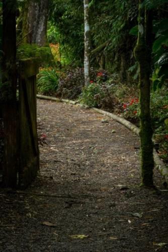 Отель Casa Divina Lodge