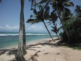 Хостел Tropi Turtle Guesthouse