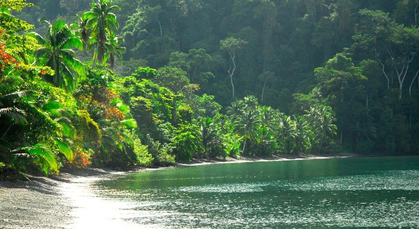Отель Playa Nicuesa Rainforest Lodge