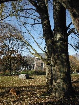 Мини-отель Red Fox Acres Bed and Breakfast