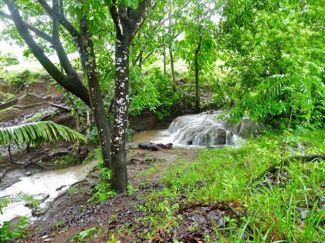 Мини-отель Finca Cantarana
