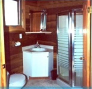 Отель Mica Mountain Lodge & Log Cabins