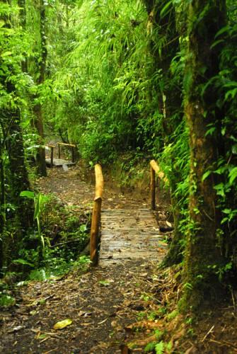 Отель El Silencio Lodge & Spa