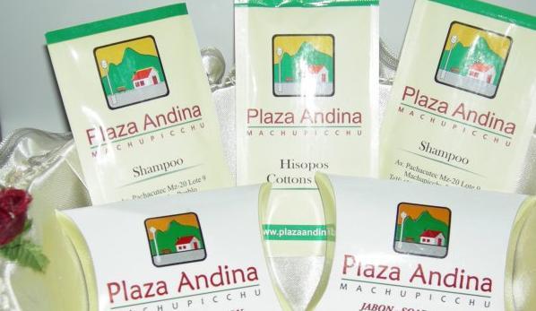 Отель Plaza Andina Machupicchu