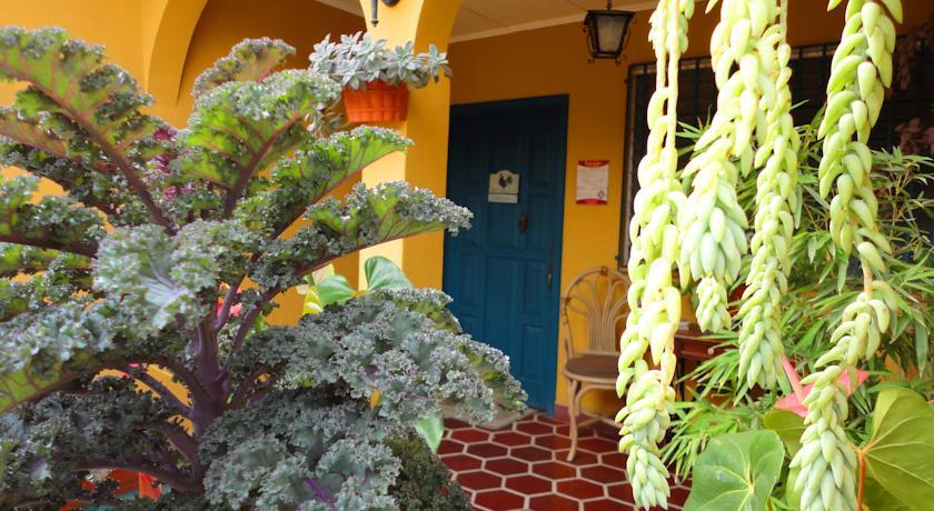 Мини-отель La Posada de Juan B&B