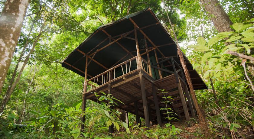 Отель La Leona Eco Lodge