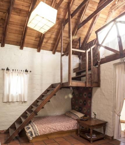 Big Tree Guest House