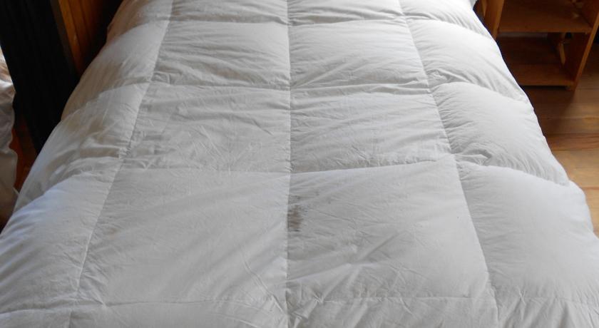 Мини-отель Hostel Don Salmon