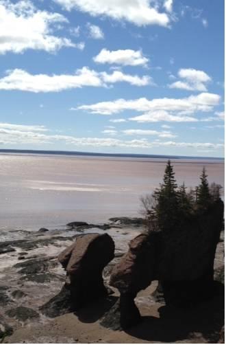 Отель Hopewell Rocks Motel & Country Inn