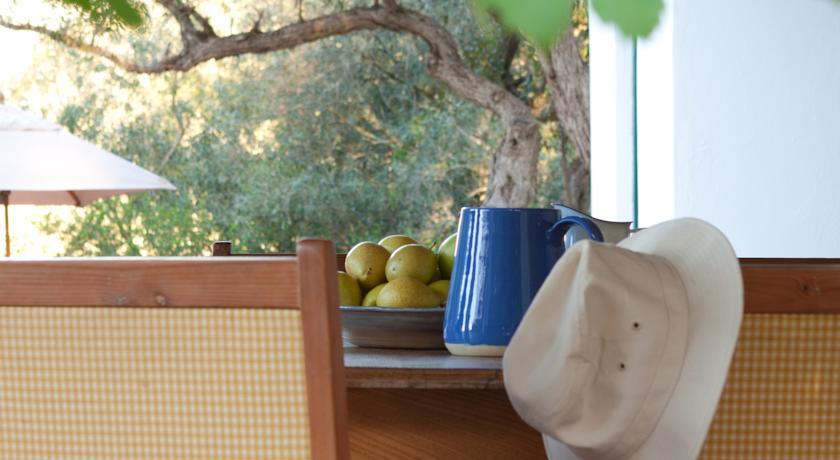 Отель Wild Olive House