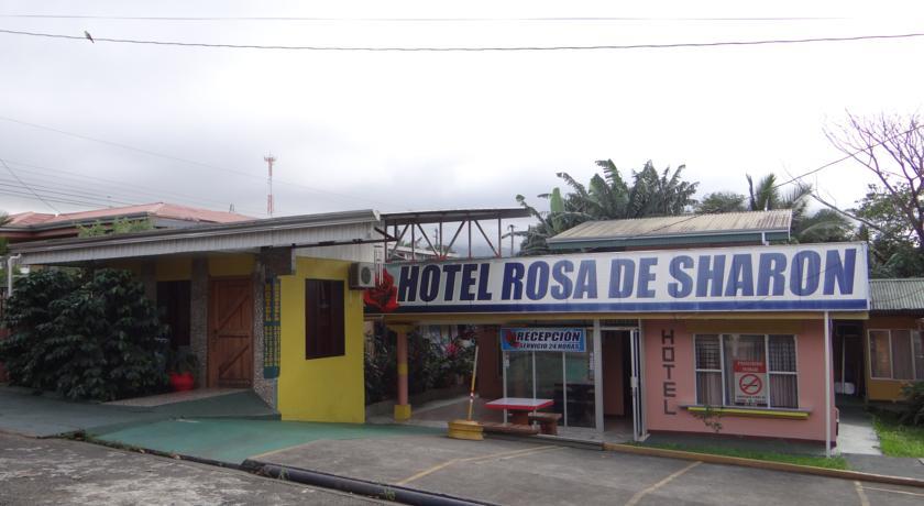 Отель Hotel Rosa De Sharon