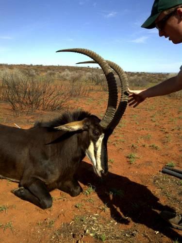 Отель Mattanu Private Game Reserve
