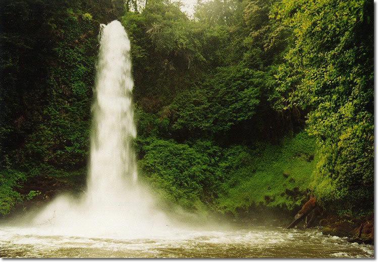 Отель Cabañas Lemunantu Salto del Indio