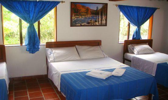 Отель Hotel Davileja