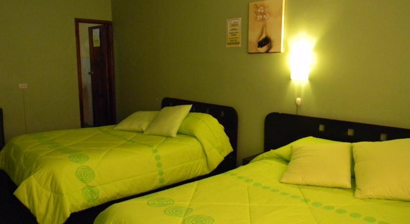 Hostal Terra 3