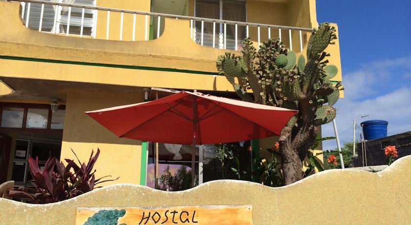 Хостел Hostal Cactus