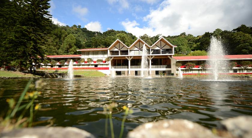 Отель Hotel Bambito