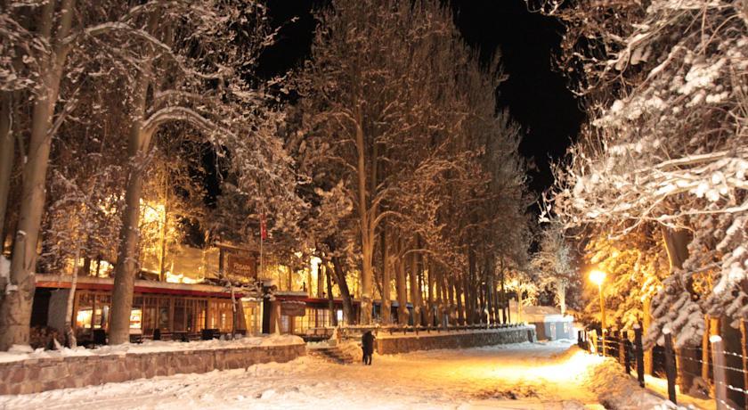 Отель Hotel Posada Farellones