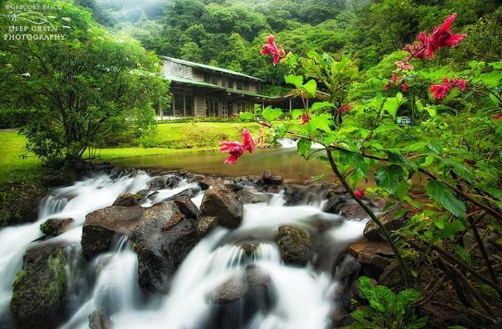 Отель Bosque de Paz Reserva Biologica