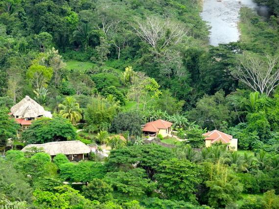 Отель Sleeping Giant Rainforest Lodge