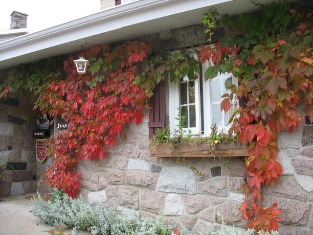 Отель Auberge la Rosepierre