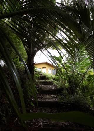 Отель Salento Finca Hotel Mundo Nuevo