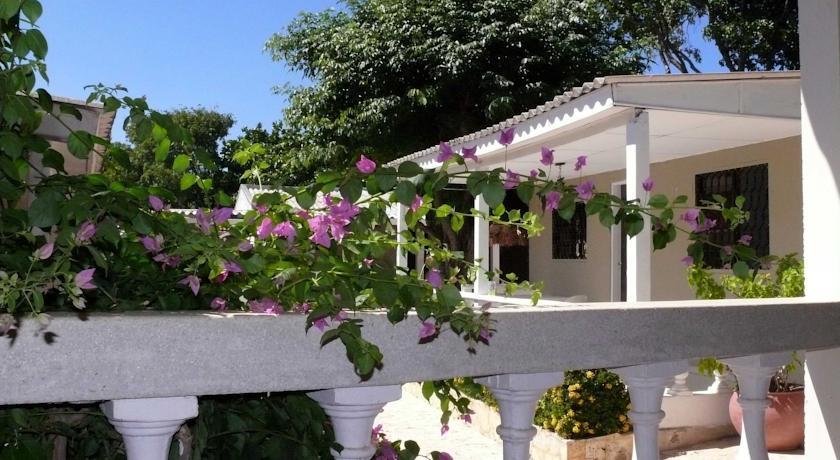 Хостел Hostal Garden House
