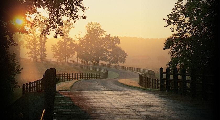 Отель Pursell Farms