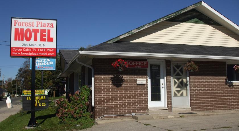 Отель Forest Plaza Motel