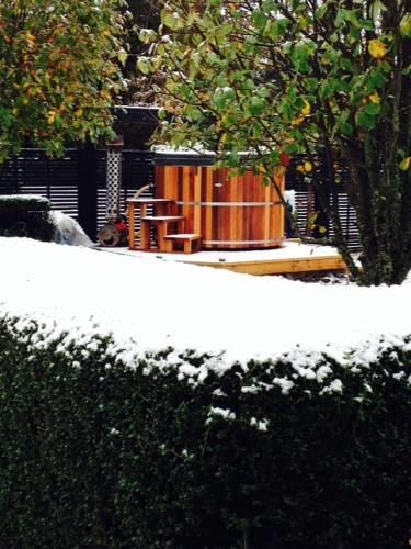 Отель Ruapehu Country Lodge