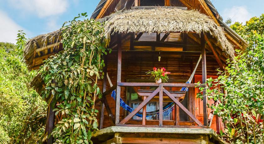 Отель Finca Punta Ayampe
