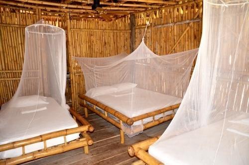 Отель Hotel Barca de Oro