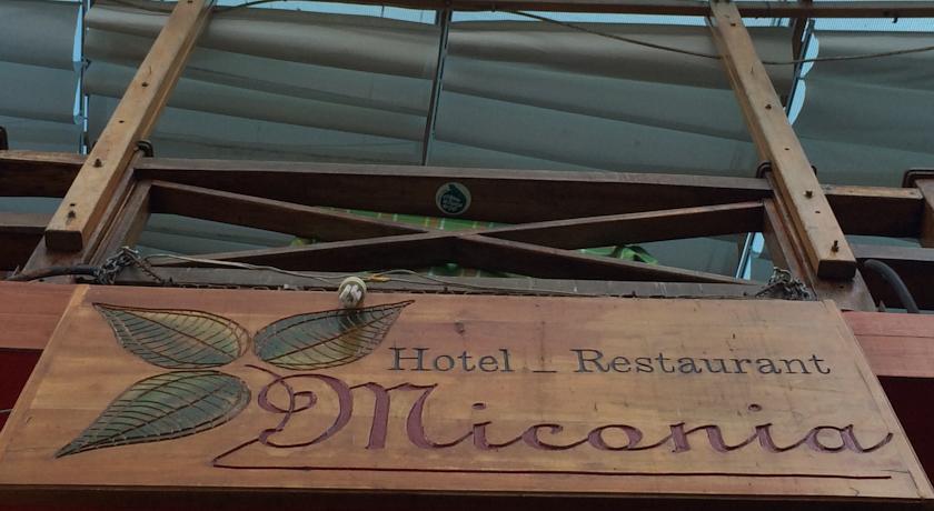 Отель Hotel Miconia
