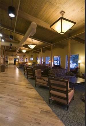 Отель McKinley Chalet Resort