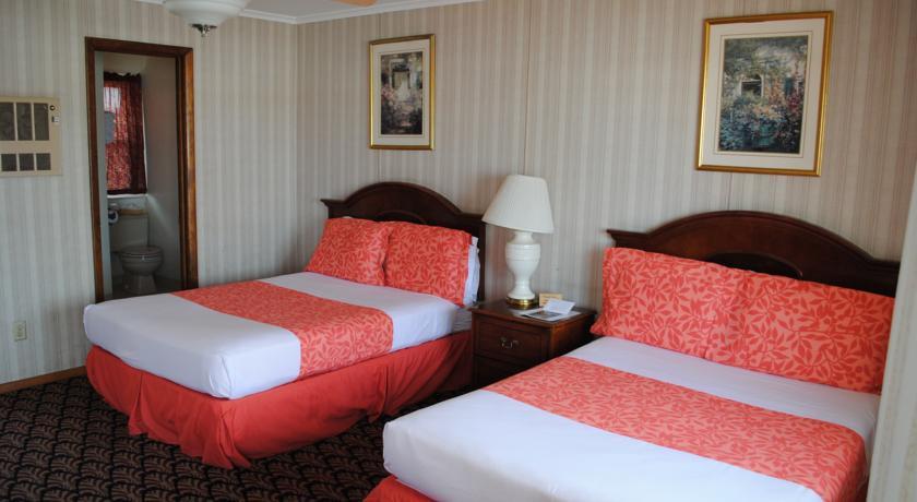 Отель Daunts Albatross Motel