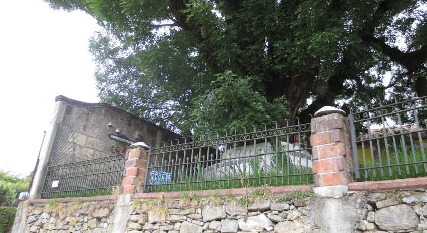 Апартаменты Hotel Casa del Árbol