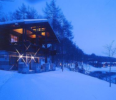 Отель Hotel Nidom