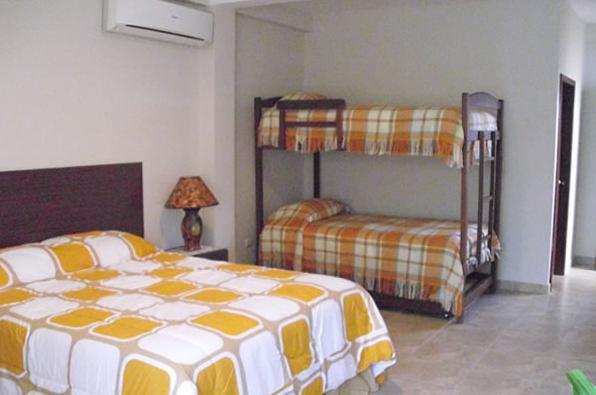 Отель Hosteria Palmetto