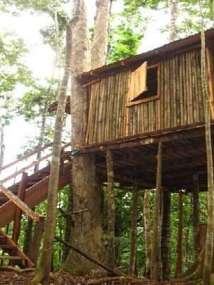 Отель 3 Rivers Eco Lodge
