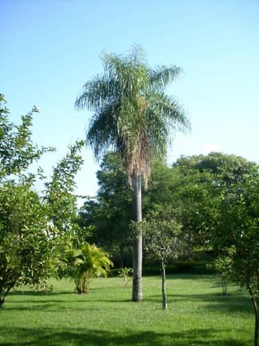 Отель Casita Feliz