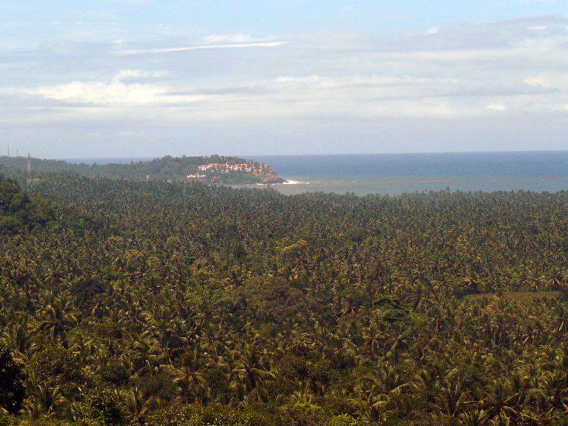 Отель Ayurveda Healing Ashram