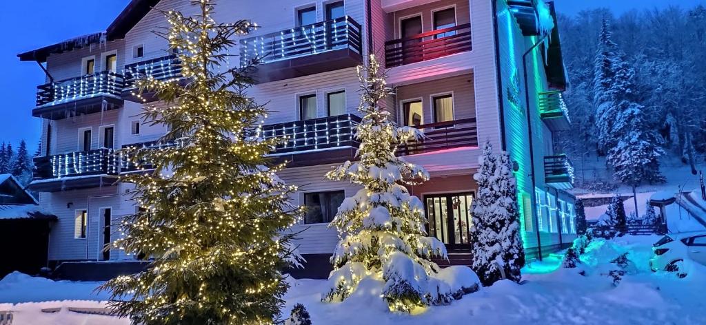 Отель Hotel Draga Maria