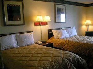 Отель Comfort Inn Hayti