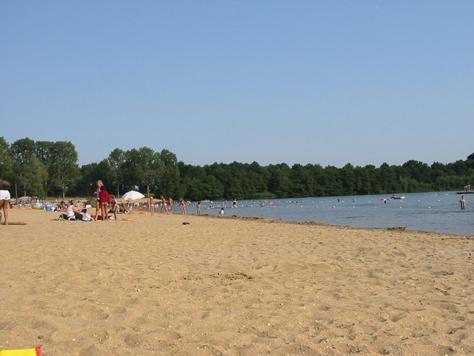 Отель Bungalowpark De Riethorst