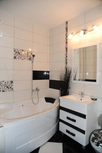 Апартаменты Garsoniera Vladu