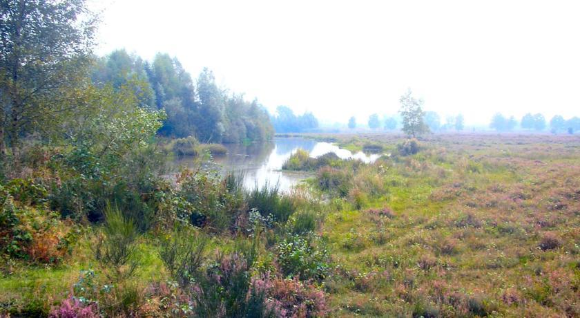 Мини-отель B&B 't Woudsebos