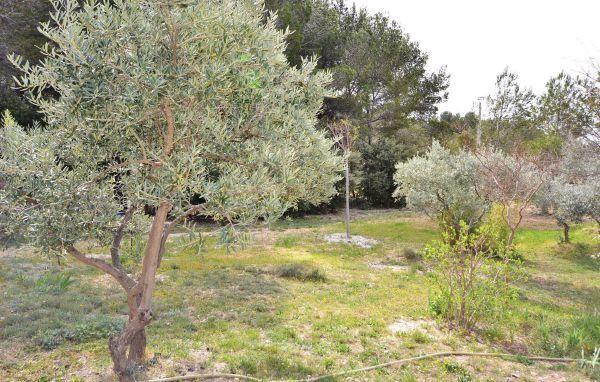 Апартаменты Holiday home Chemin de Champeau H-842