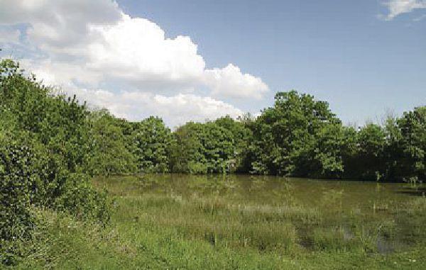 Апартаменты Holiday home Chaumont Sur Loire QR-1419